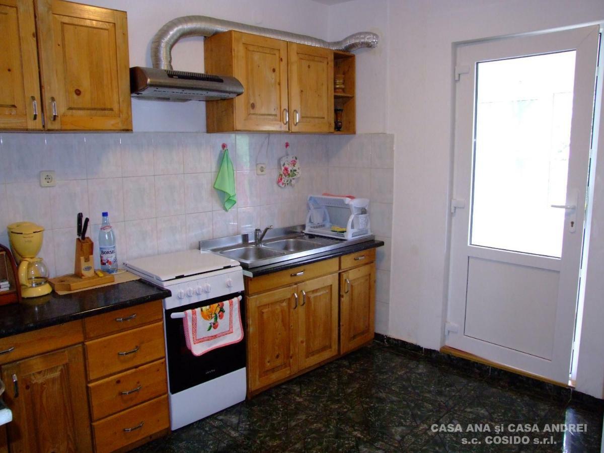 Casa Andrei Vatra Dornei Villa Dealu Floreni Dış mekan fotoğraf