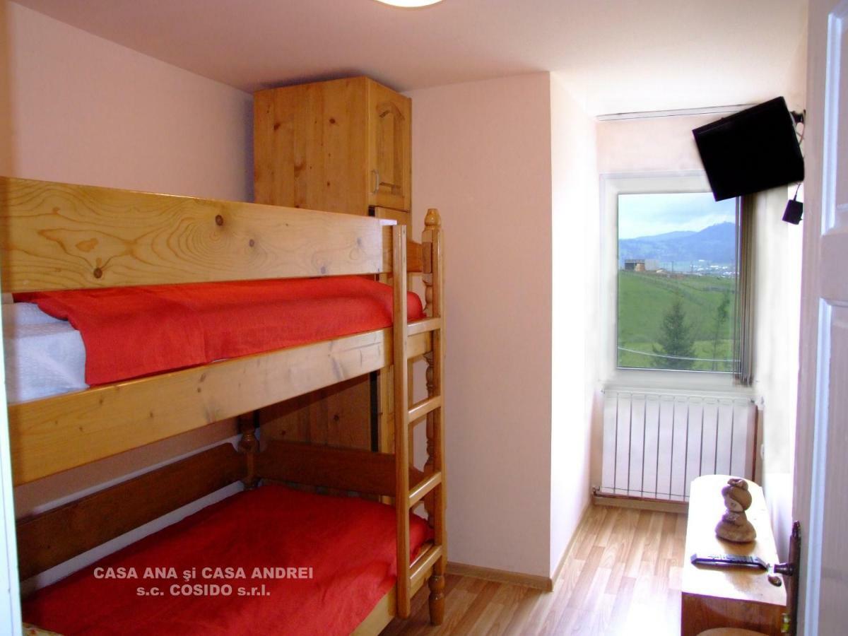 Casa Andrei Vatra Dornei Villa Dealu Floreni Dış mekan fotoğraf